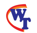 Wanzu Tech Logo